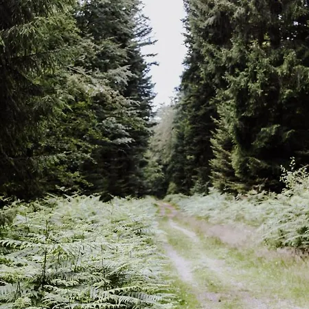 Apartamento 4-zimmer-ferienwohnung Waldblümle *