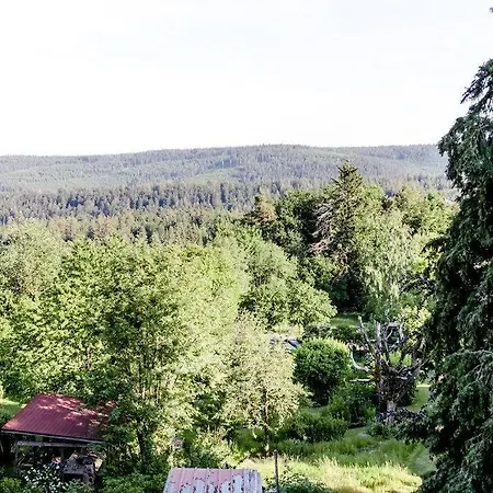 Apartment 4-zimmer-ferienwohnung Waldbluemle