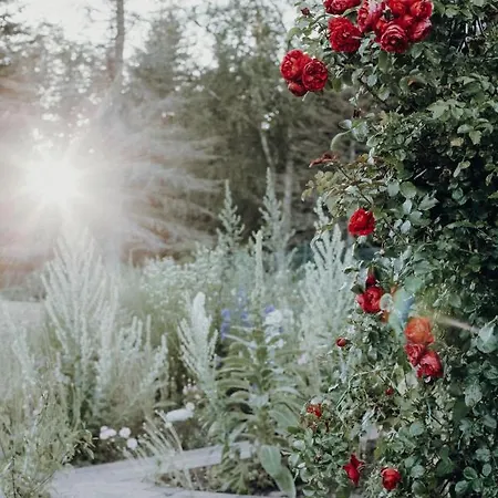4-zimmer-ferienwohnung Waldblümle * Dobel