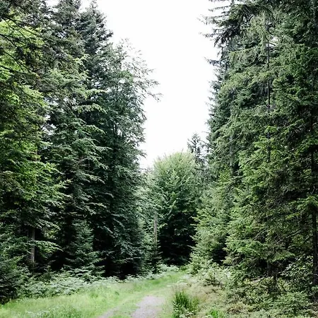 Apartamento 4-zimmer-ferienwohnung Waldblümle Dobel