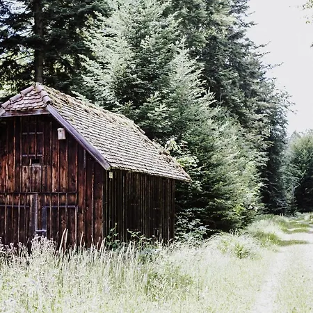4-zimmer-ferienwohnung Waldblümle Apartamento *