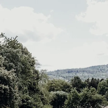 Apartamento 4-zimmer-ferienwohnung Waldblümle Dobel