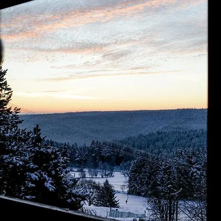 Apartamento 4-zimmer-ferienwohnung Waldblümle *