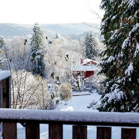 4-zimmer-ferienwohnung Waldblümle Dobel